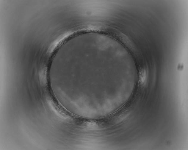 X0000112830588200909111400