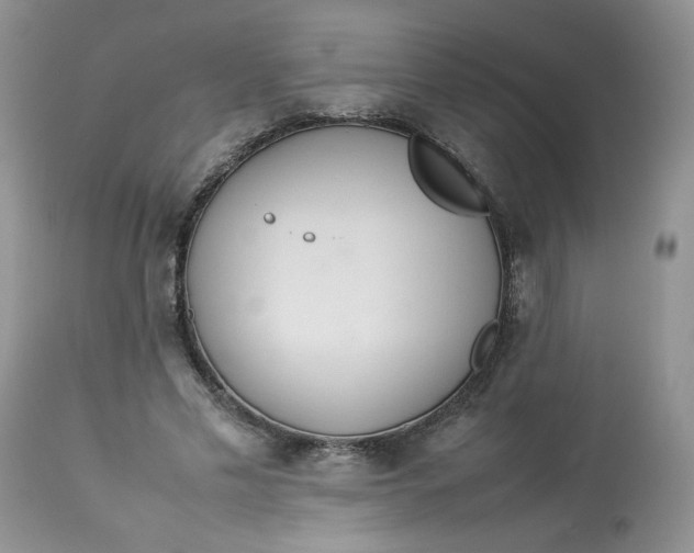 X0000112830589200909111400