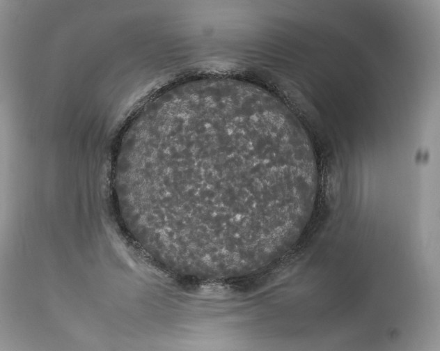 X0000112830591200909111400