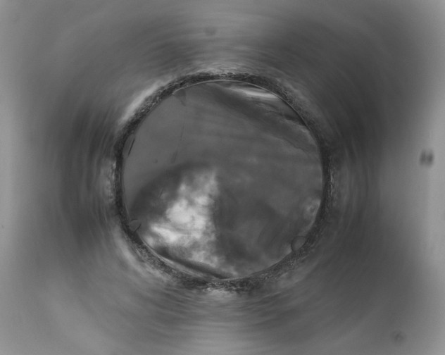 X0000112830592200909111400