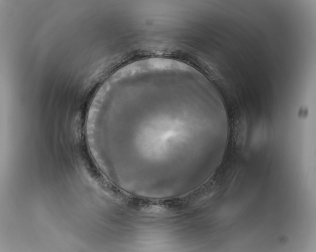 X0000112830594200909111400