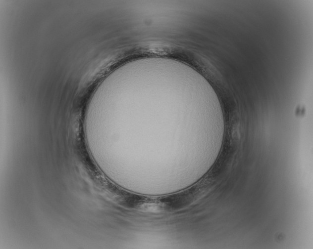 X0000112830595200909111400