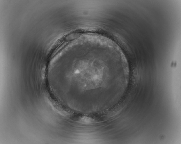 X0000112830596200909111400