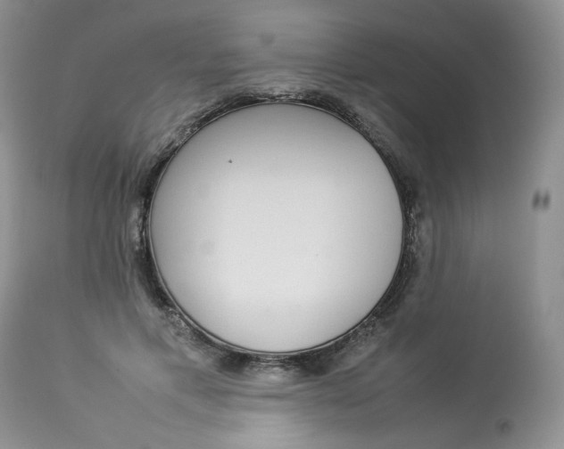 X0000112830597200909111400