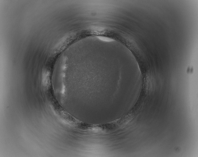 X0000112830598200909111400