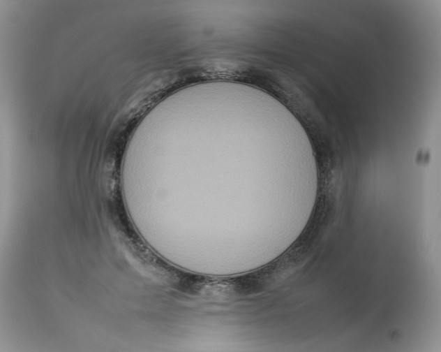 X0000112830599200909111400