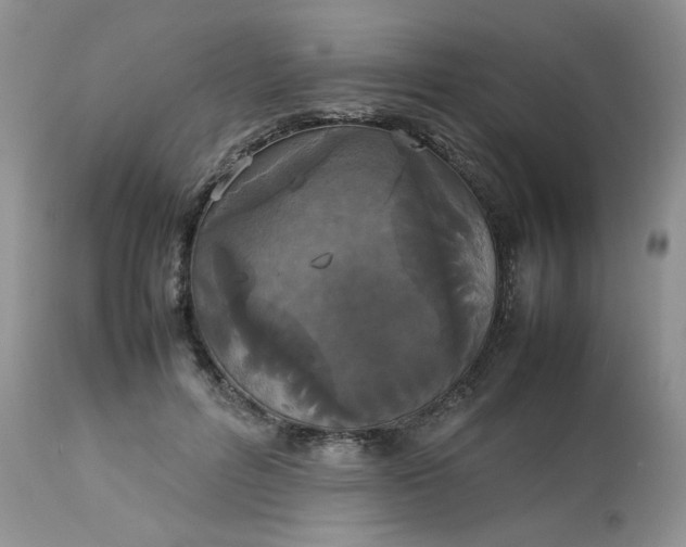 X0000112830600200909111400