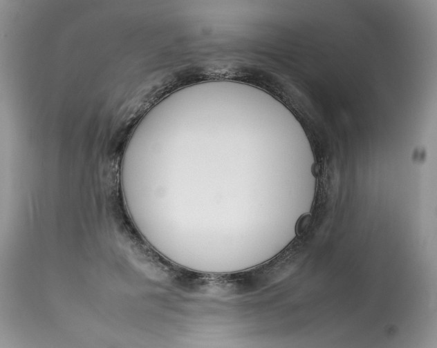 X0000112830601200909111400