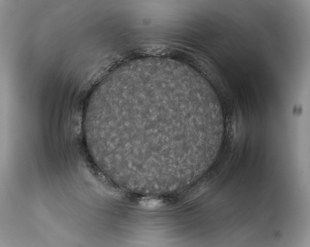 X0000112830602200909111400