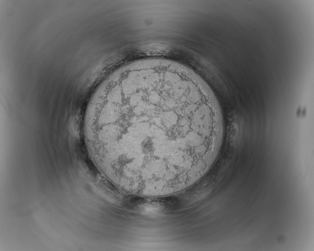 X0000112830604200909111400