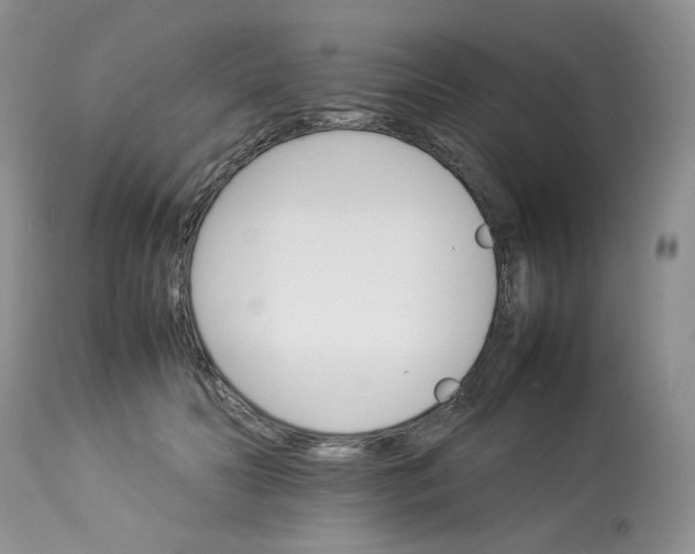 X0000112830606200909111400