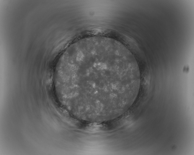 X0000112830607200909111400