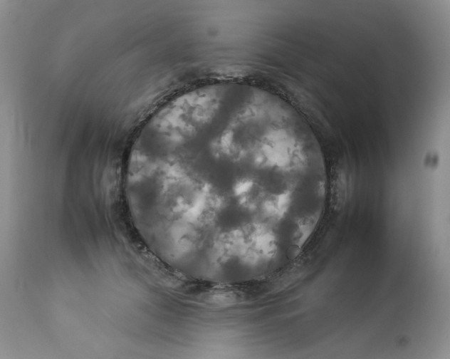 X0000112830608200909111400