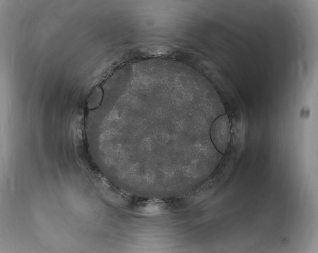 X0000112830612200909111400