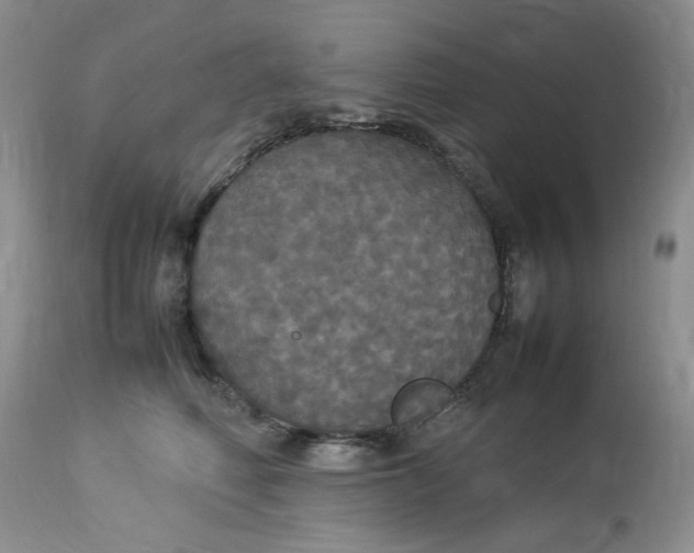 X0000112830614200909111400