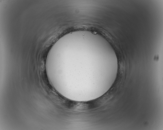 X0000112830617200909111400