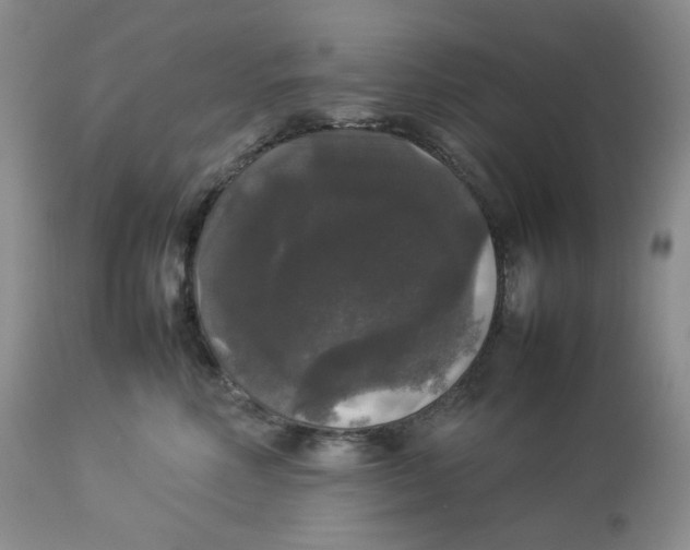 X0000112830618200909111400