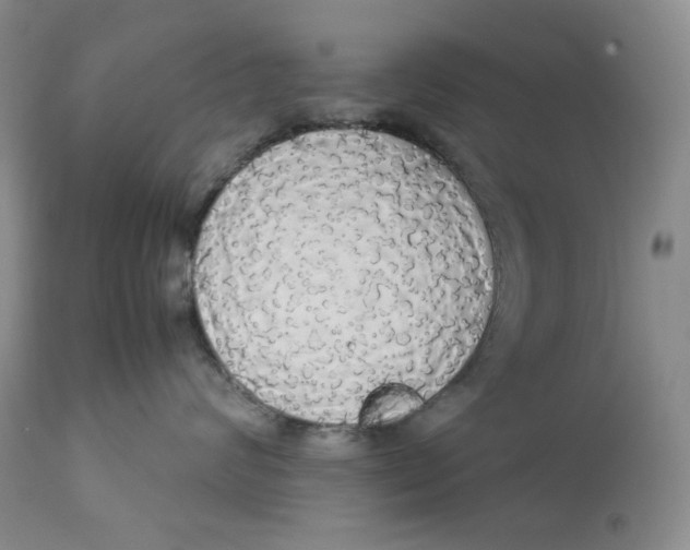 X0000112830624200909111400