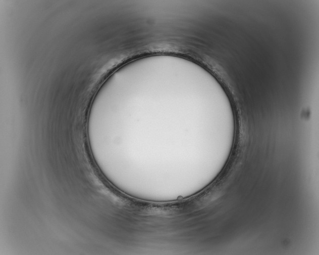 X0000112830625200909111359