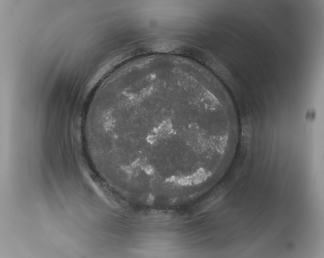 X0000112830626200909111359