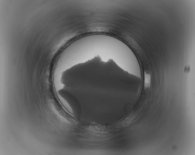 X0000112830627200909111359