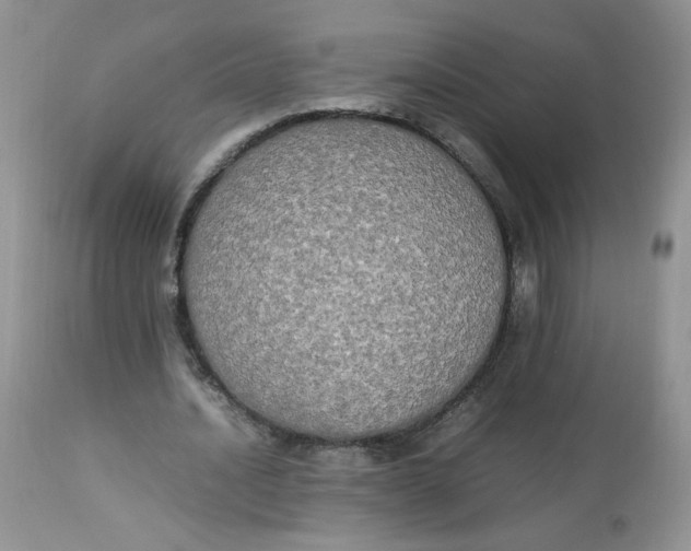 X0000112830628200909111359