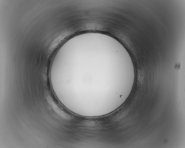 X0000112830629200909111359