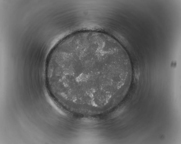 X0000112830630200909111359