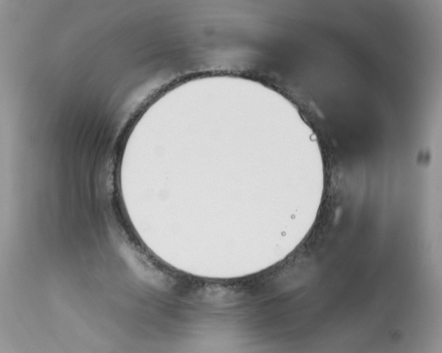 X0000112830632200909111359