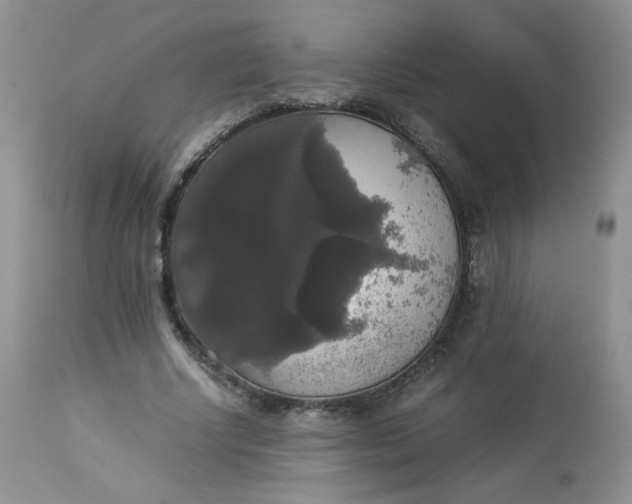 X0000112830634200909111359