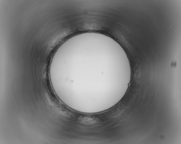 X0000112830635200909111359