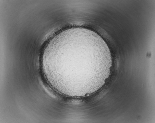 X0000112830638200909111359