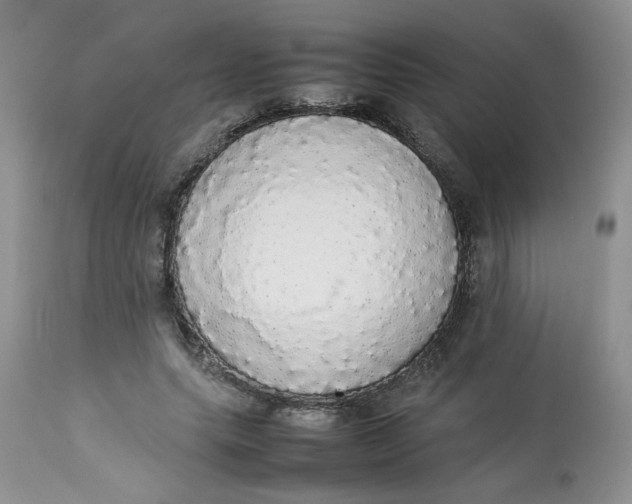 X0000112830639200909111359