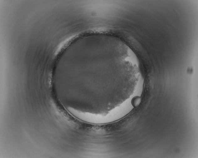 X0000112830640200909111359