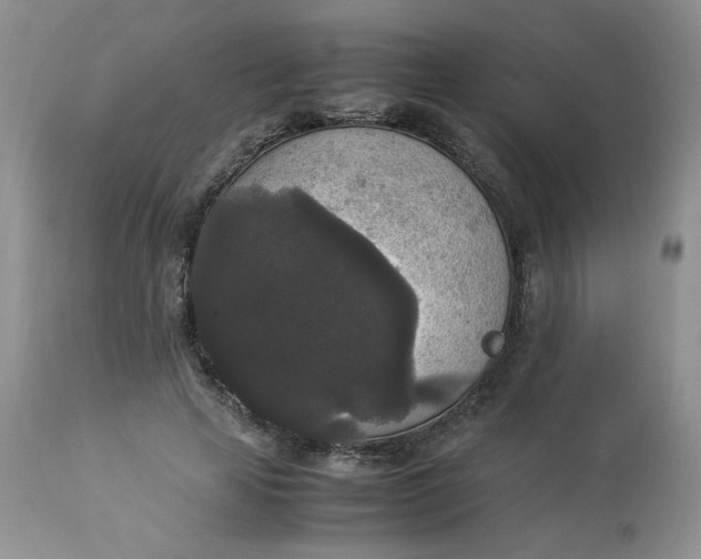 X0000112830641200909111359