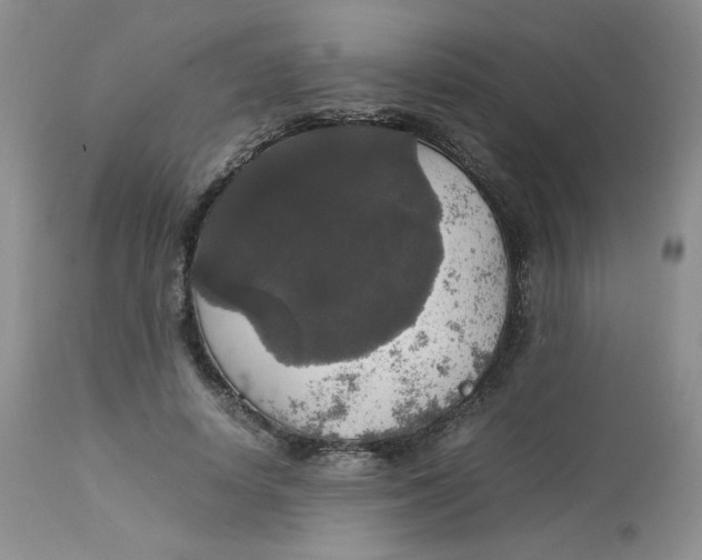 X0000112830642200909111359