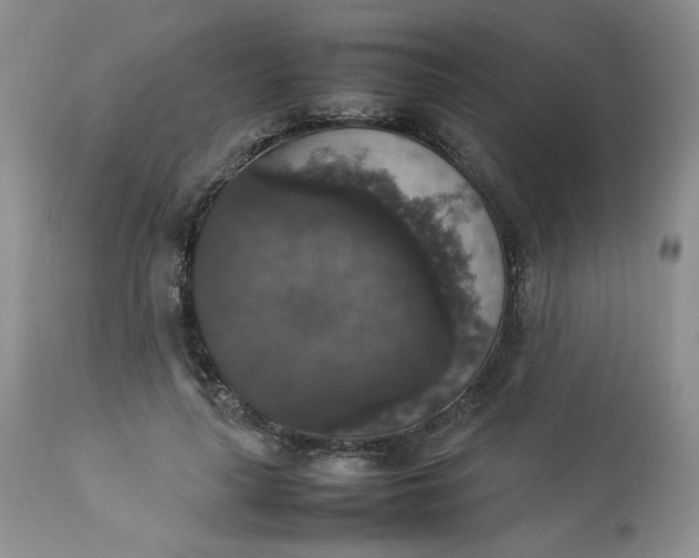 X0000112830643200909111359