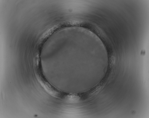 X0000112830644200909111359