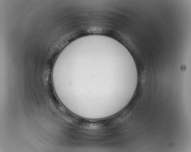 X0000112830645200909111359