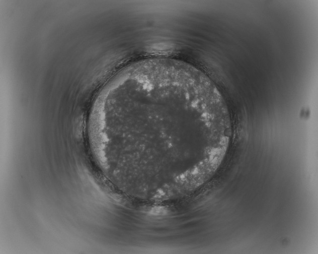 X0000112830647200909111359