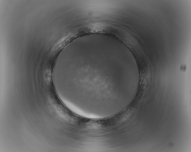 X0000112830648200909111359