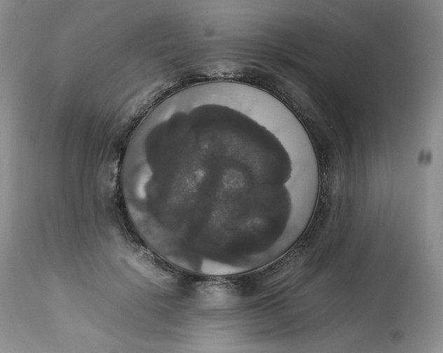 X0000112830652200909111359