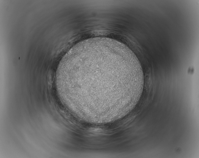 X0000112830655200909111359