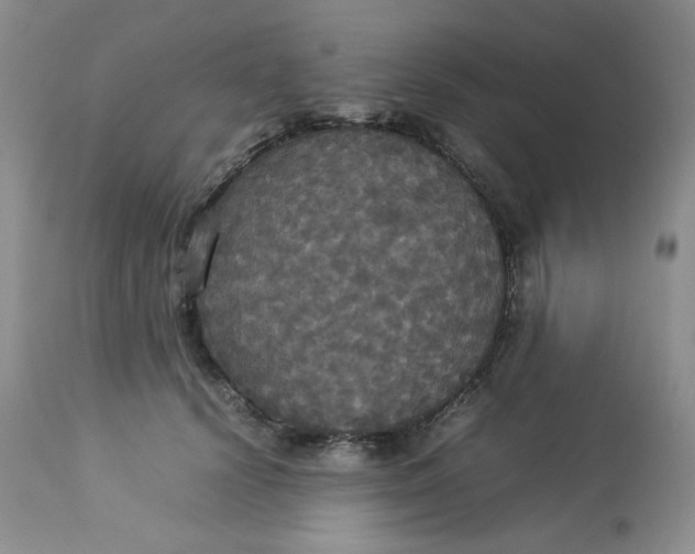 X0000112830656200909111359