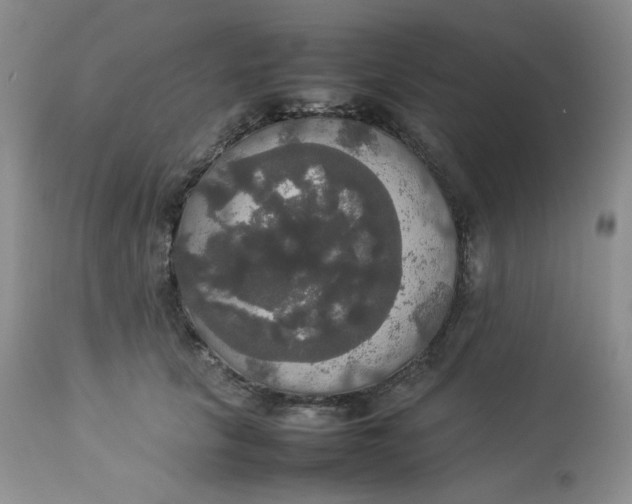 X0000112830657200909111359