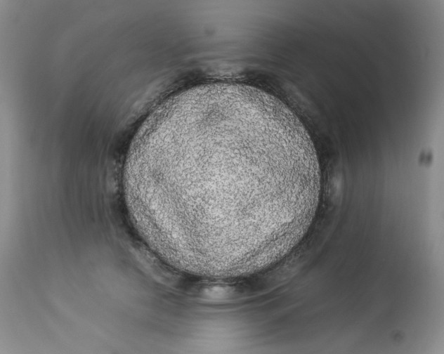 X0000112830658200909111359