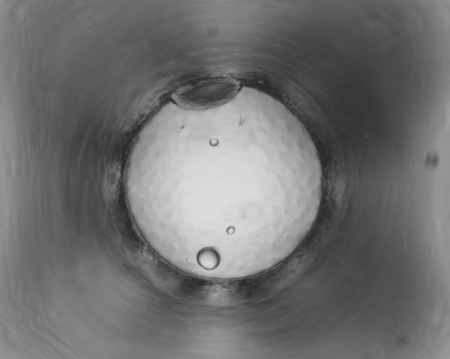 X0000112830660200909111359