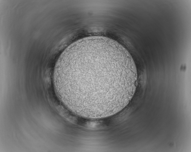 X0000112830662200909111359