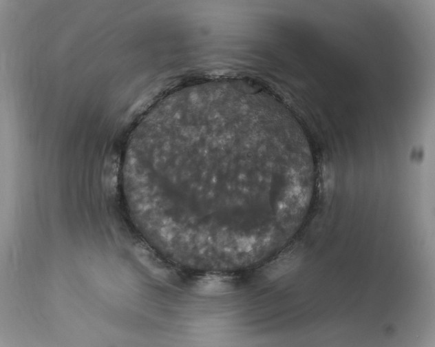 X0000112830664200909111359