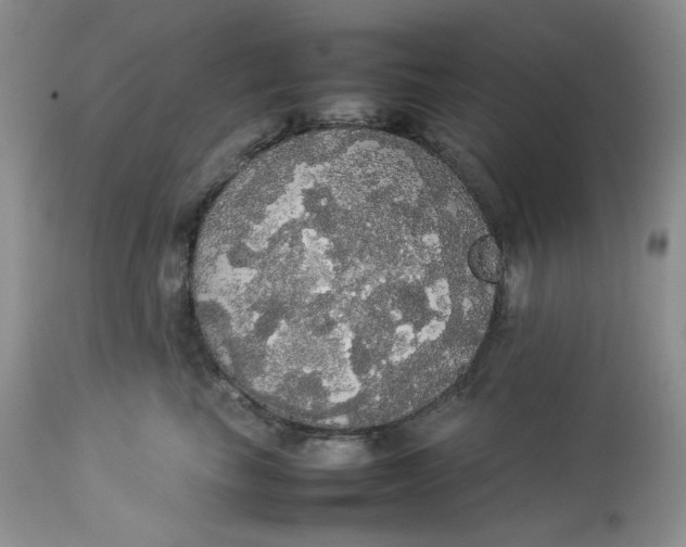 X0000112830665200909111359